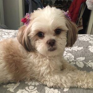 Meet your Posher, Esmeralda